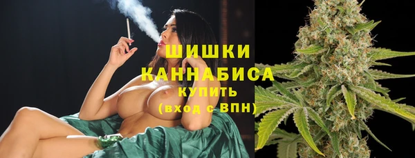 шишки Алзамай