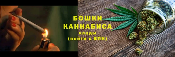 шишки Алзамай